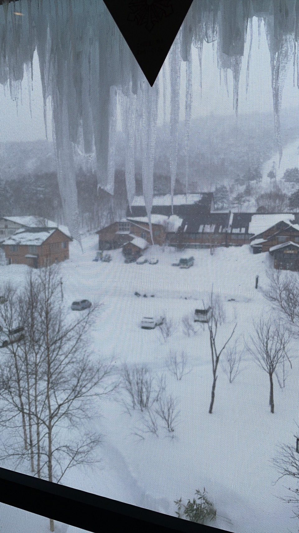 本多優選手ブログ⑩_2