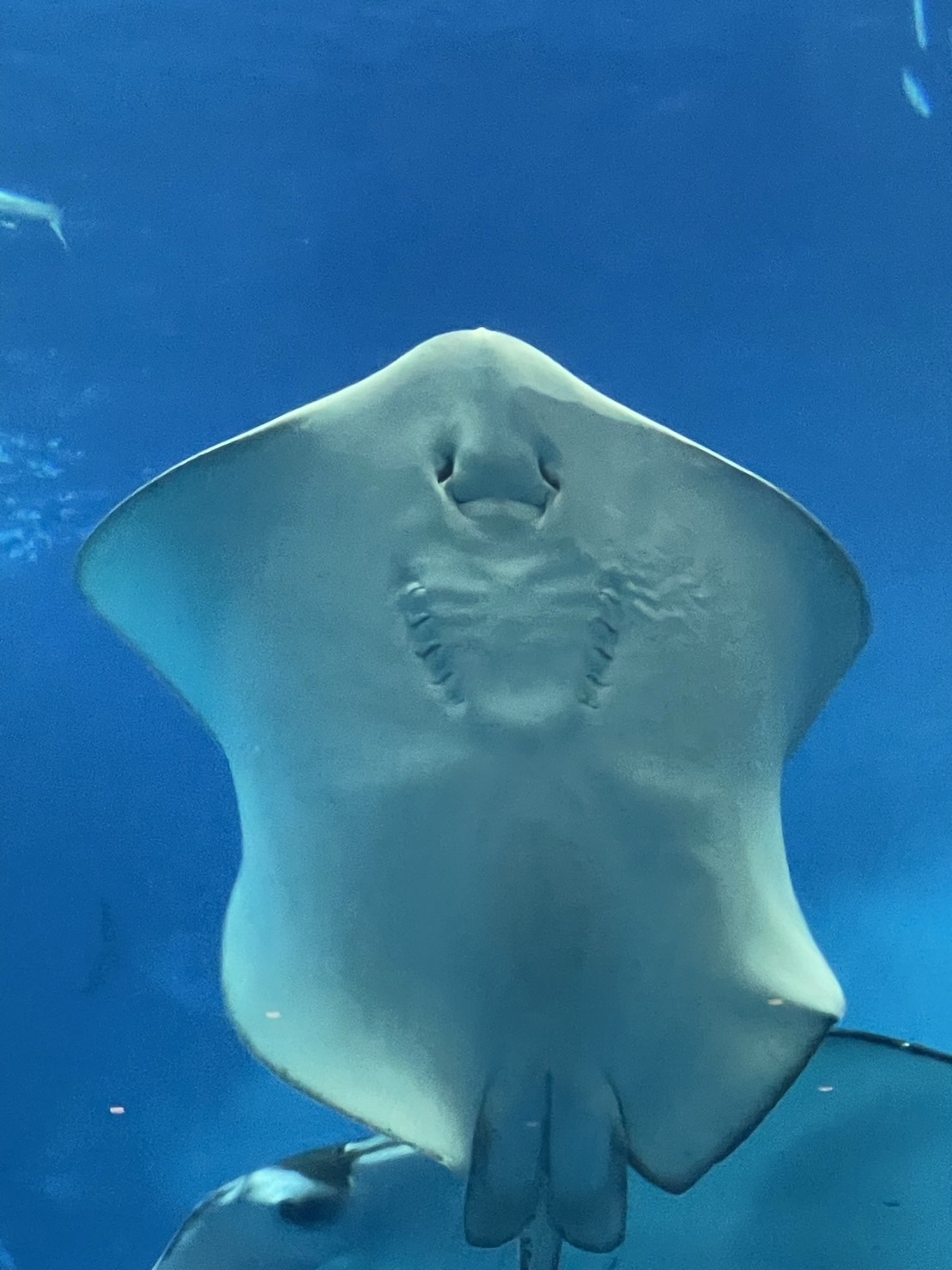 本多優選手ブログ20_3