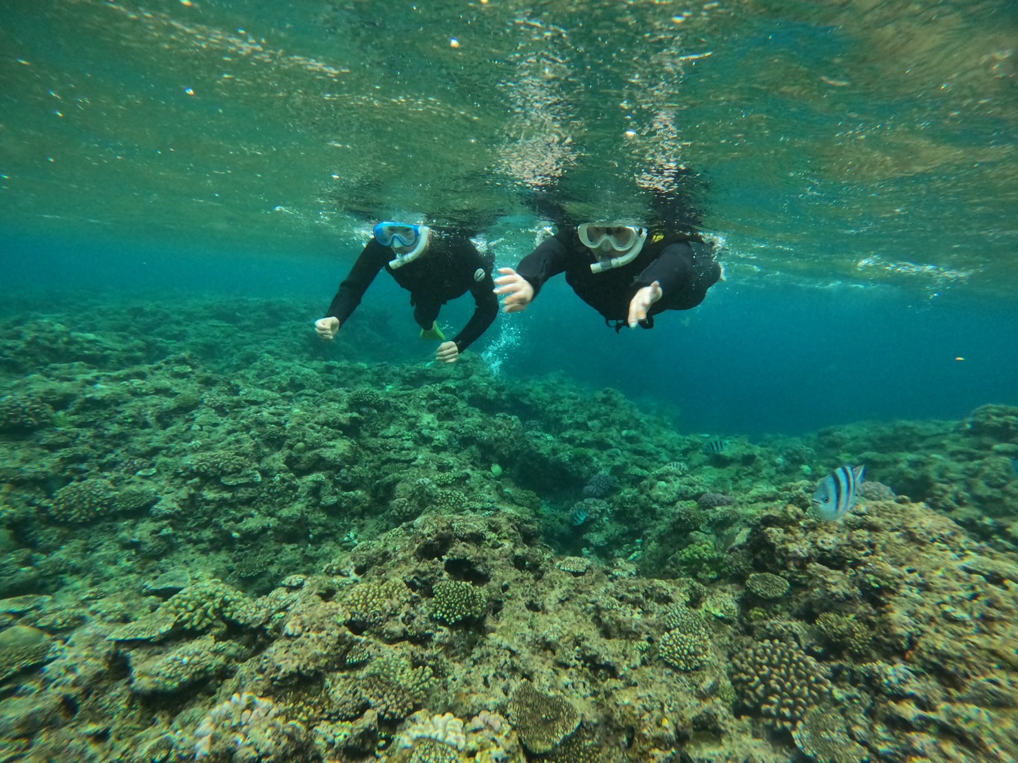 本多優選手ブログ20_4