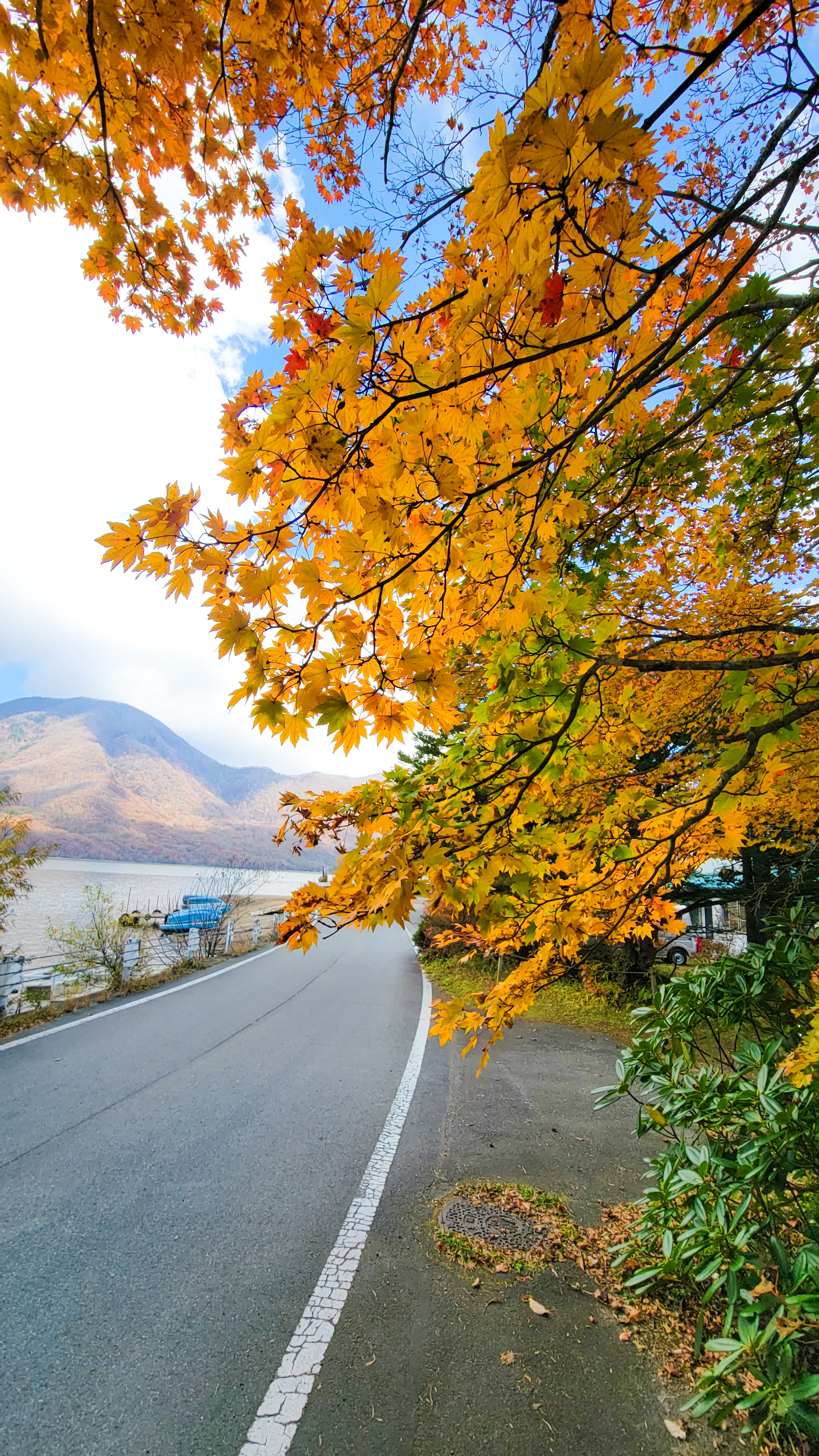 平山信一ブログvol.83_①