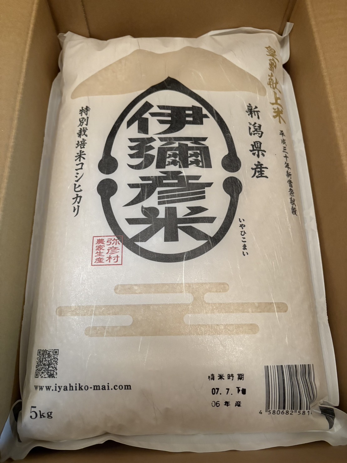 natsumi-chiba_vol5-3